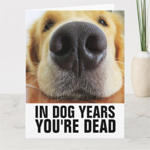CARTÃO CACHORRO ANOS SEU É MORTO DOG NO ANIVERSÁRIO