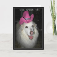 *Cachorro arenoso- 50º Aniversário