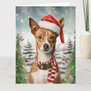 Cartão Cachorro Basenji Natal Papai Noel Patas