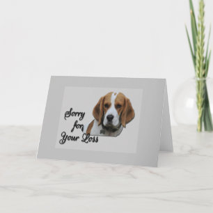 Cartão Cachorro Beagle Tri Colorido Fofo Compaixão Sinto 