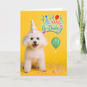 Cartão Cachorro Bichon Frise com Chapéu de Festa em Anive