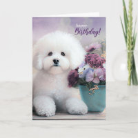 Cachorro Bichon Frise de Aniversário com Flores Ro