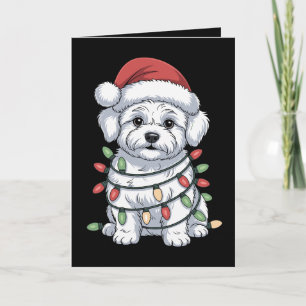 Cartão Cachorro Bichon Frise de Natal Chapéu do Papai Noe