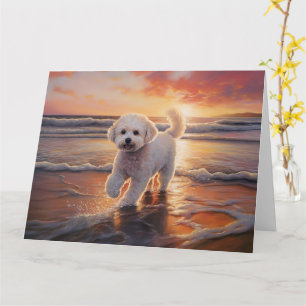 Cartão Cachorro Bichon Frise Sandy Paws no pôr do sol da 