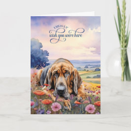 Cartão Cachorro Bloodhound Flores Silvestres Te Desejam