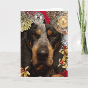 Cartão Cachorro Bluetick Coonhound/ Foto de Natal de Anim