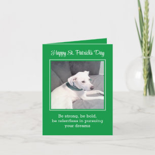 Cartão Cachorro bonitinho e engraçado Feliz Dia de São Pa