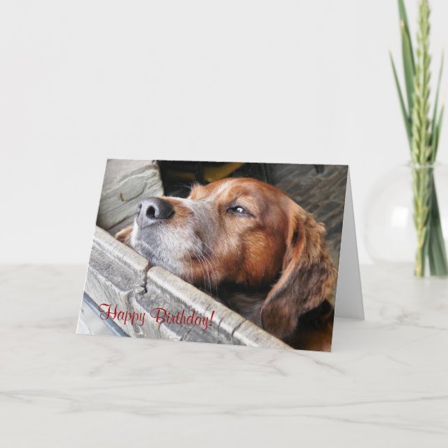 CARTÃO CACHORRO BONITO (Frente)