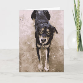 Cartão Cachorro Bonito E Cachorro Molhado Que Se Desce De