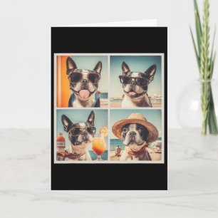 Cartão Cachorro Boston Terrier Legal Frio Férias de Verão
