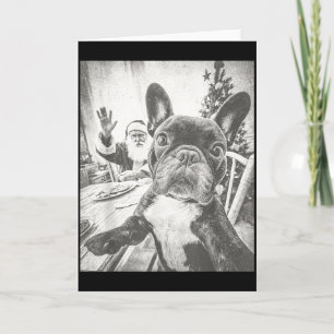 Cartão Cachorro Bulldog Francês Ai Engraçado Selfie Com P