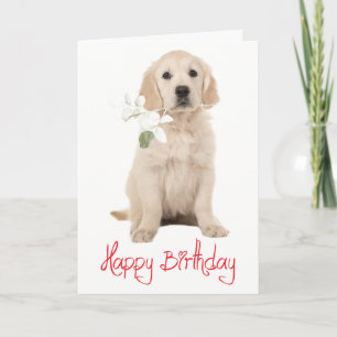Cartão Cachorro Cachorrinho Feliz Aniversário