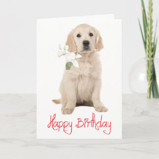 Cartão  Cachorro Cachorrinho Feliz Aniversário 