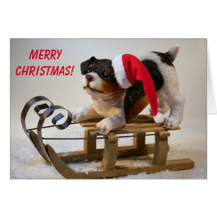 Cartão Cachorro Cachorro Bonito