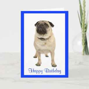 Cartão Cachorro Cachorro Cachorro Feliz Aniversário Cartã