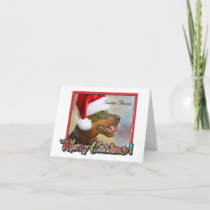 Cartão Cachorro com Chapéu de Papai Noel - Saudação de Na