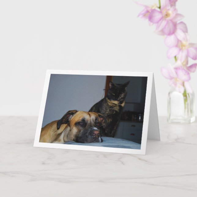 Cartão Cachorro com Retrato de Gato (Orquídea)