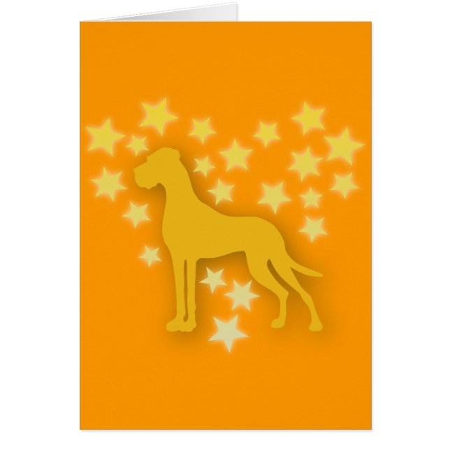 Cartão Cachorro como Estrelas (Frente)