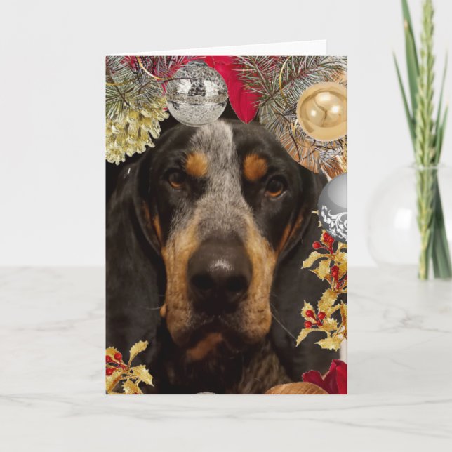 Cartão Cachorro Coonhound Bluetick/ Foto de Natal de Anim (Frente)
