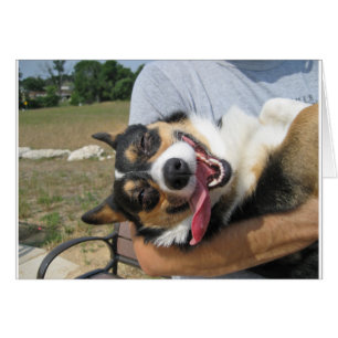 Cartão Cachorro Corgi Sorridente