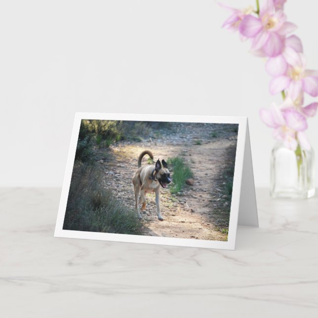 Cartão Cachorro Correndo e Pulando (Orquídea)