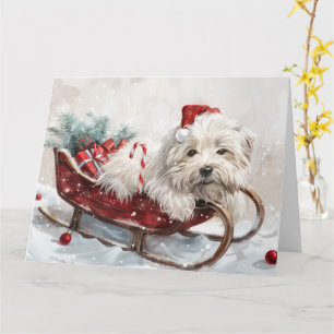 Cartão Cachorro Coton De Tulear Natal Festivo