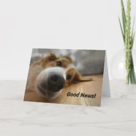 Cartão Cachorro da Montanha Bernese Engraçado com Grande 
