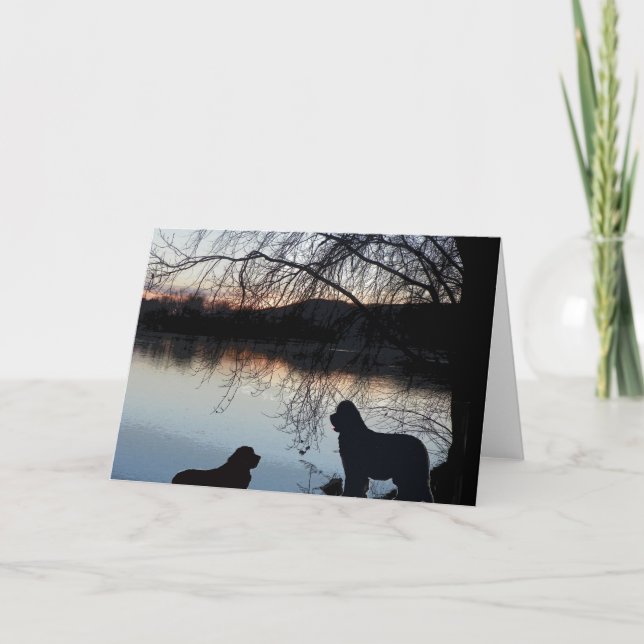 Cartão Cachorro da Newfounland Saudação (Frente)