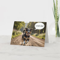 Cachorro De Aniversário Cheirando Bolo