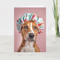 Cachorro de Aniversário Vestindo Boné Chá