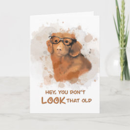 Cartão Cachorro de Aniversário Você não parece velho