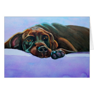 Cartão Cachorro de Chocolate Relaxado