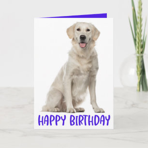 Cartão Cachorro de Festa de Aniversário Feliz Retriever D