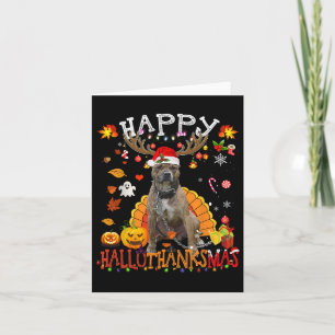Cartão Cachorro de Pitbull Cachorro de Halloween Cachorro