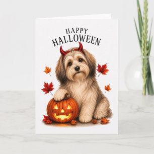 Cartão Cachorro Diabo de Halloween da Raça Havanese