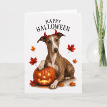 Cachorro Diabo de Halloween Whippet