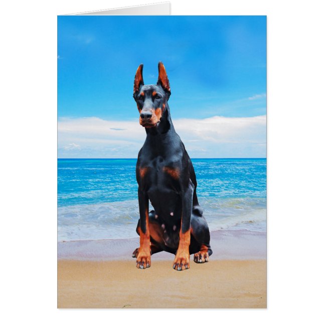 Cartão Cachorro Doberman Sentado Na Praia (Frente)
