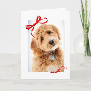 Cartão Cachorro Doodle Natal