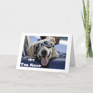 CARTÃO CACHORRO EM GOGGLES DIZ "APROVEITE SUA REFORMA"
