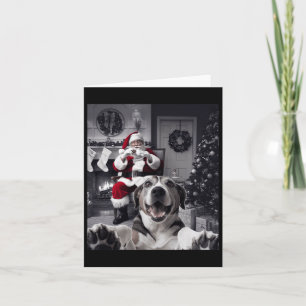 Cartão Cachorro Engraçado De Natal Selfie Com Papai Noel 