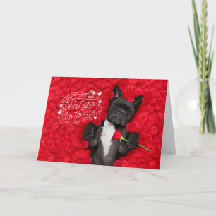 Cartão Cachorro Engraçado e Rosas Vermelhas Feliz Dia dos