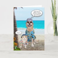 Cachorro Engraçado/Laboratório Havaiano Aniversári