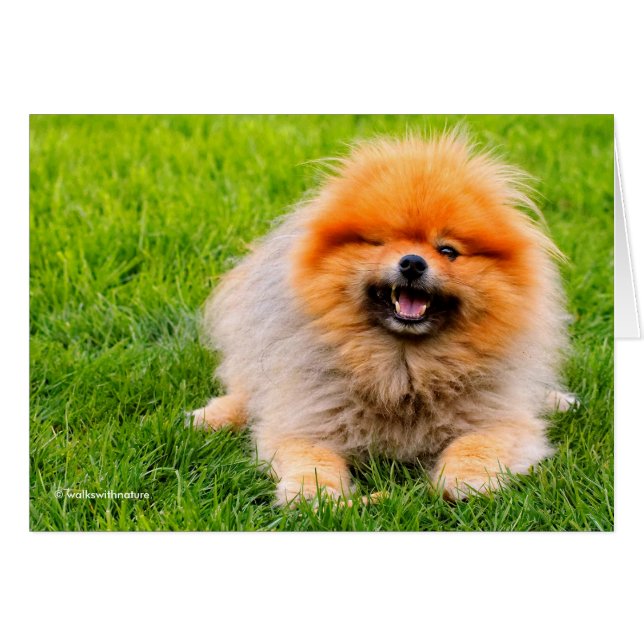 Cartão Cachorro Engraçado Rindo e Piscando (Frente Horizontal)