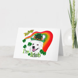 Cartão Cachorro Eskimo Americano St Patricks