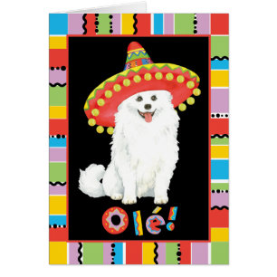 Cartão Cachorro Eskimo Fiesta Americano