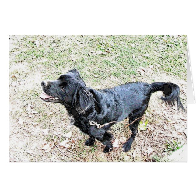 Cartão Cachorro Esperando para Sair para um Passeio (Frente Horizontal)