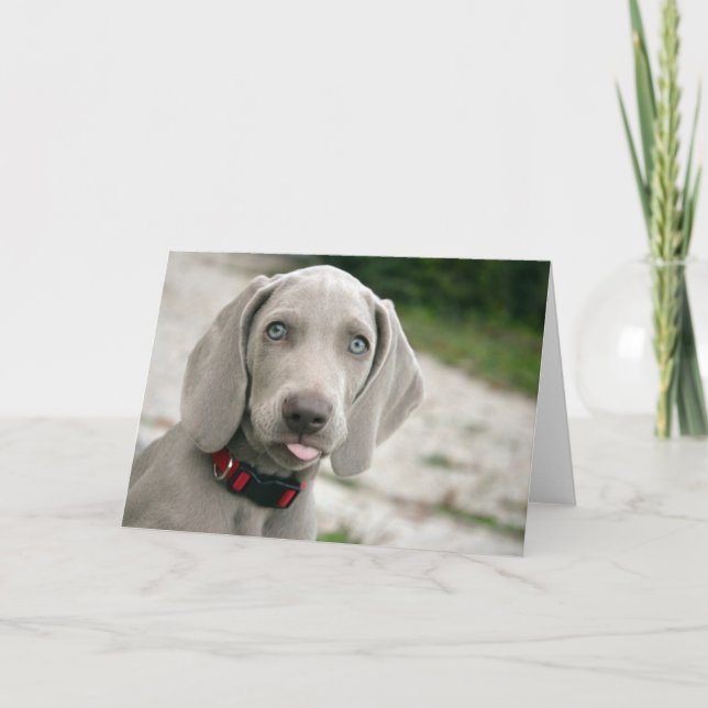 Cartão Cachorro esticando a língua (Frente)