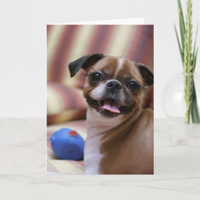 Cartão Cachorro Feliz com Brinquedo (Frente)