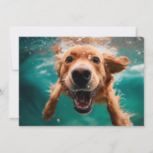 Cartão Cachorro Feliz da Raça Golden Retriever Nadando Su