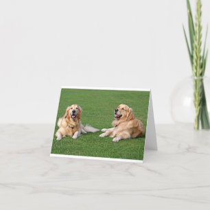 Cartão Cachorro Filhote Retriever Dourado Cobertor